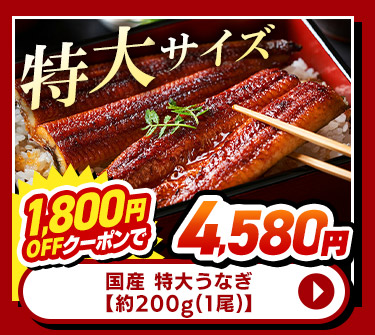 国産 特大うなぎ 約200g(1尾)