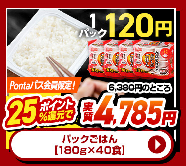 パックごはん 180g×40食