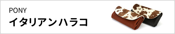 PONY�i�|�j�[�j