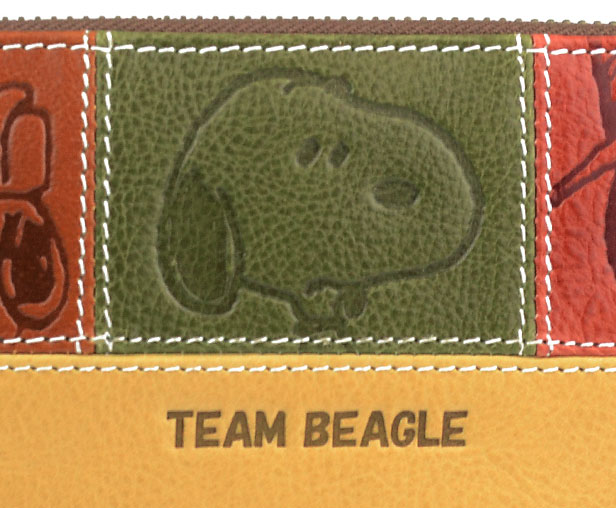 TEAM BEAGLE