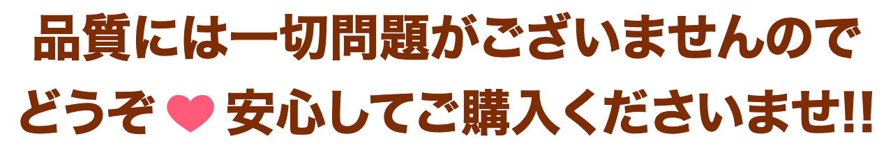 �i���ɂ͈�ؖ�肪�������܂���̂ŁA�ǂ���! ���S���Ă��w�����������܂�!!