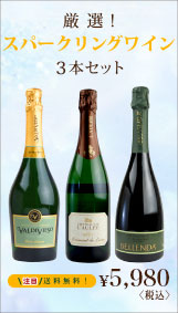 �y���I! �X�p�[�N�����O���C��3�{�Z�b�g�z��������! 5,980�~�q�ō��r