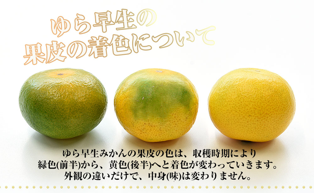 ゆら早生の果皮の色について