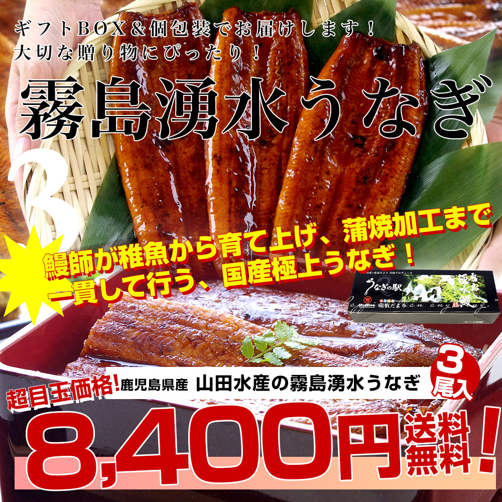 うなぎ3尾