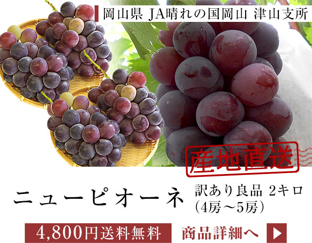j[sI[lǕi