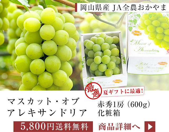 AL600g