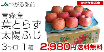 ���z�ӂ��@1��