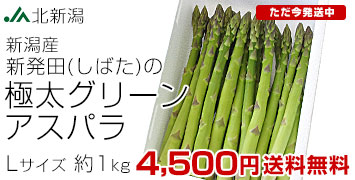 AXp L