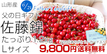 ���̓�������L1.2kg