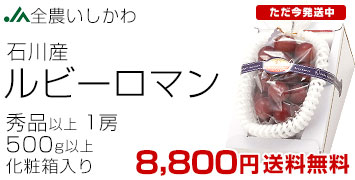 ルビーロマン500g
