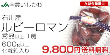 ルビーロマン600g