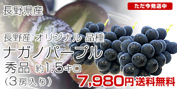 �i�K�m�p�[�v��3�[