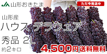 山形デラウェア2kg