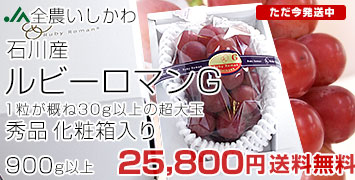 ���r�[���}���@G900g