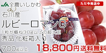 ルビーロマン　G700g