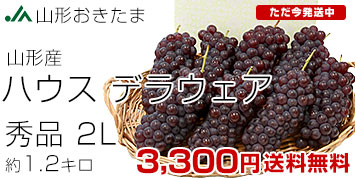 山形デラウェア1.2kg