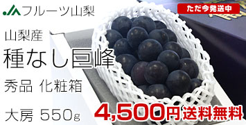 �R���I�n����1�[