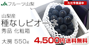 �R���I�n�s�I�[�l1�[