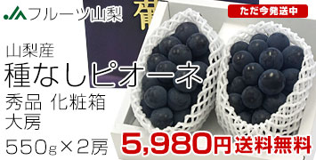 �s�I�[�l2�[