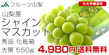 �R���I�n�V���C��1�[