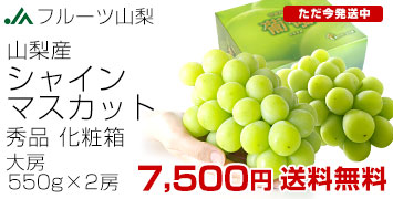 �V���C��2�[