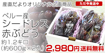 �V�[�h���X�Ԃǂ���