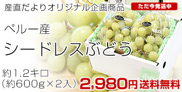 �y���[�Y�V�[�h���X�Ԃǂ���