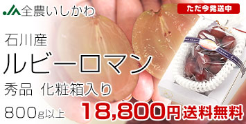ルビーロマン秀品800g