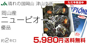 ��܃j���[�s�I�[�l�D�i2kg