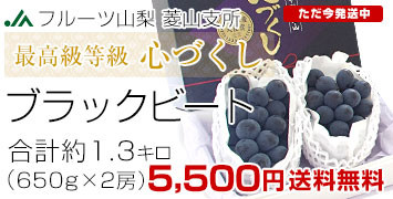 �S�Â����u���b�N�r�[�g