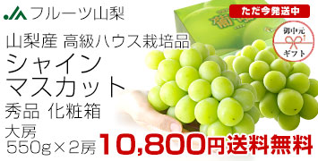 RnEXVC2[