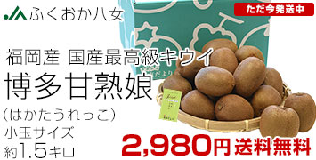 �����Ïn�� ����1.5kg