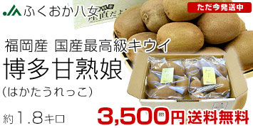 �����Ïn��1.8kg