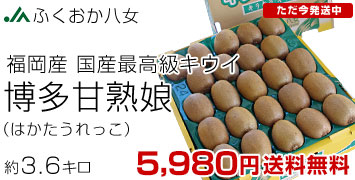 �����Ïn��3.6kg