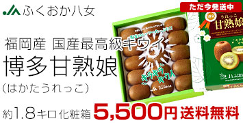 �Ïn�� 1.8�L�����ϔ�