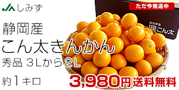 ���񑾂��񂩂� 3L����2L