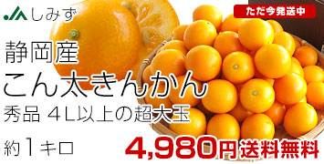 ���񑾂��񂩂�4L