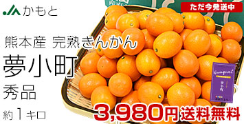 ������1�L��