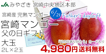�{�蕃�̓��}���S�[