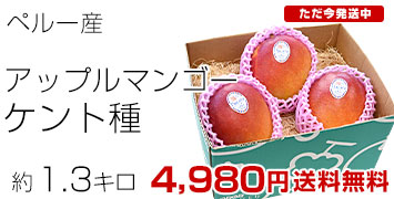 �y���[�}���S�[1.3�L��