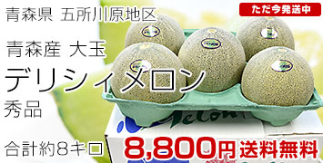 �f���V�B����������8kg