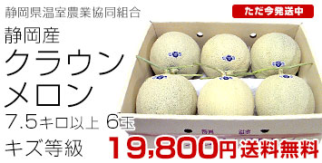 クラウンメロン キズ