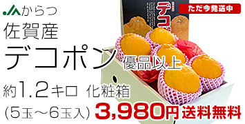 ����f�R�|��1.2�L��