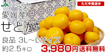 ���Ƃ��Ǖi2.5