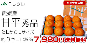 �ɂ����� �Õ� �G�i3�L��