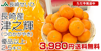 ���肹���Ђ̒ÔV�P