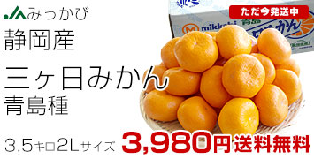 �O�����݂���2L3.5kg