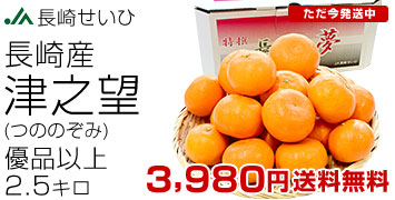 ���肹���Ђ̒ÔV�]