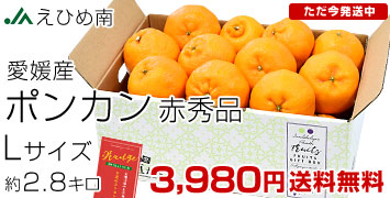 ���Ђߓ�|���J��2.8kg