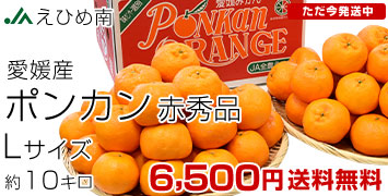 ���Ђߓ�|���J��10kg